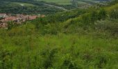 Tour Wandern Tokey - Tokaj - Photo 10