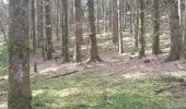 Trail Walking Wellin - La Vallée de l'Almache - Photo 2