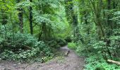 Tocht Stappen Thuin - Thuin vallée de la Biesmelle 16 km - Photo 19