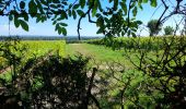 Trail Walking Saumur - MAINE ET LOIRE / SAUMUR: DECRASSAGE - Photo 4