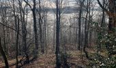 Tour Wandern Profondeville - Balade à Dave - Photo 2