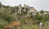 Trail Walking La Roquebrussanne - La Roquebrussanne dec 2023 - Photo 12