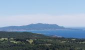 Trail Walking Saint-Cyr-sur-Mer - Dune de sable  - Photo 5