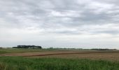 Tocht Stappen Graven - Randonnée autour de Grez-Doiceau - Photo 6