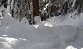 Percorso Racchette da neve Modane - Loutraz Amodon - Photo 6