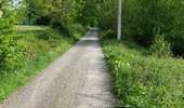 Trail Walking Anderlues - Balade Lobbes-Thuin-Anderlues  - Photo 4
