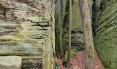 Tour Wandern Berdorf - Mullerthal Berdorf B5+B8 Raiberhiel-Teufelsinsel-Siewenschleff-Berdorfer Kasselt-Keltenkapp-Passage Mandrack-Geierslay-Perekop-Huel Lee (PVDB) - Photo 19