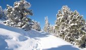 Randonnée Raquettes à neige Saint-Agnan-en-Vercors - Beure - Écondus - Photo 8