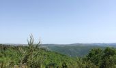 Trail Walking Millau - Le cun nant - Photo 2