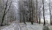 Trail Walking Theux - dans le givre de Crambon  - Photo 16