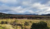 Tocht Stappen Celles - Vailhés Laulo L'Auverne Salagou - Photo 2