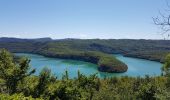 Trail Bicycle tourism Pont-de-Poitte - Pont de Poitte - Poncin - Photo 7