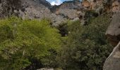 Excursión Senderismo Κοινότητα Ζαροῦ - Lac de Votomos à la chapelle d'Agios Loannis (rother n°44) - Photo 7