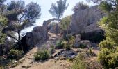 Tocht Stappen Aubagne - SityTrail - Le garlaban - Aubagne - Photo 1