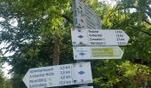 Tocht Te voet Straubenhardt - Nordic-Walking-Route 4 - Wolfsgruben-Route - Photo 2