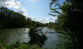 Tour Wandern Tauxigny-Saint-Bauld - Saint-Bauld - La Vallée de l'Echandon - 16.4km 170m 3h35 - 2020 09 26 - Photo 3