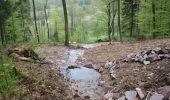 Tour Zu Fuß Kleinkahl - Ortswanderweg Kleinkahl 2 - Photo 1