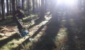 Trail Nordic walking Sprimont - Banneux-20-11-2022 - Photo 3