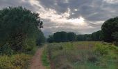 Tocht Stappen Argelès-sur-Mer - en attendant mes pneus  - Photo 9