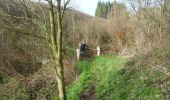 Percorso A piedi Wincrange - Wikiloc Urspelt Maulusmuhle - Photo 7
