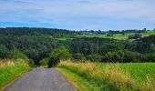 Tour Wandern Durbuy - Balade à Villers Sainte Gertrude - Photo 11