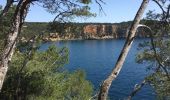 Tocht  Saint-Cyr-sur-Mer - Sentier du littoral et des vigne - Photo 1