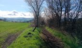 Trail Nordic walking Aiguilhe - Le Puy-en-Velay saint-privat-d'Allier - Photo 7