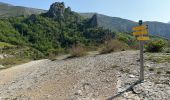 Tocht Stappen Rougon - Point sublime Verdon Blanc Martel 12 km - Photo 17