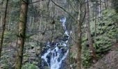 Trail Walking Rochesson - cascade de Battion  - Photo 8