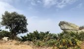 Tour Wandern L'Albère - col de l ullat . puig d orella . puîg sant cristau . col de l ullat - Photo 8