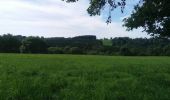 Excursión Senderismo Esneux - autour de fontin par les prés les champs les bois et les hameaux - Photo 1