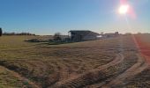 Trail Walking Valensole - plateau de valensole . ravin des cognets . ravin de la combe  - Photo 17