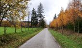 Tocht Stappen Gouvy - Promenade vers la réserve naturelle 