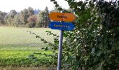 Randonnée A pied Knonau - Knonau - Hinter-Uttenberg - Photo 4