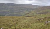 Tour Wandern West Cork - Glengarriff - Ardrigole - Photo 14