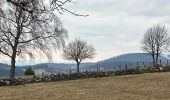 Randonnée Marche Le Tholy - Sentier de la Roche Au Blaireau depuis le gîte  - Photo 5