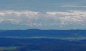 Tour Zu Fuß Unlingen - Wanderweg um den Bussen - Photo 2