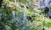 Tocht Stappen Talloires-Montmin - cascade langon - Photo 2