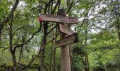 Tocht Stappen Orgeix - col de l'Osque 2021 - Photo 6