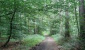 Tour Wandern Namen - aiguilles et forêt domaniale de Marche les Dames - Photo 10