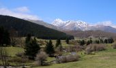 Tour Nordic Walking Campan - parcours 9 km Lac de Payolle - Photo 3