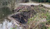 Tocht Stappen La Roche-en-Ardenne - Vecmont - Photo 17