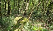 Trail Walking Sainte-Anastasie-sur-Issole - Saint Quinis - Ste Anastasie - Photo 12