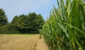 Trail Walking Blegny - A la découverte de Housse 🥾 - Photo 7