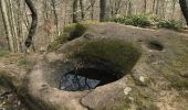 Tocht Stappen Mollkirch - Château guirbarden - Photo 2