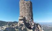 Randonnée Marche Argelès-sur-Mer - la tour de la massane - Photo 1
