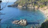 Trail  Hyères - GIENS - Photo 5
