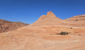 Tour Wandern Unknown - 2024 Vermillon Cliffs Edmaiers trail - Photo 11