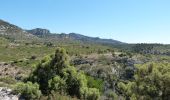 Trail Walking Cheval-Blanc - Gorges de regalon - Photo 6