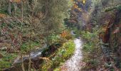 Tocht Te voet Malmedy - Boucle Longfaye Rheinardstein cascade du Bayehon - Photo 1